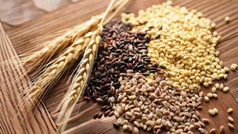 ariety of grains and seeds on wooden background – wheat, barley, and millet for agricultural commodity trading